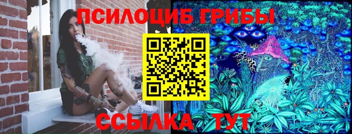 Галлюциногенные грибы Magic Shrooms  Вход с VPN  Псилоцибиновые грибы Psilocybine cubensis  Гурьевск 